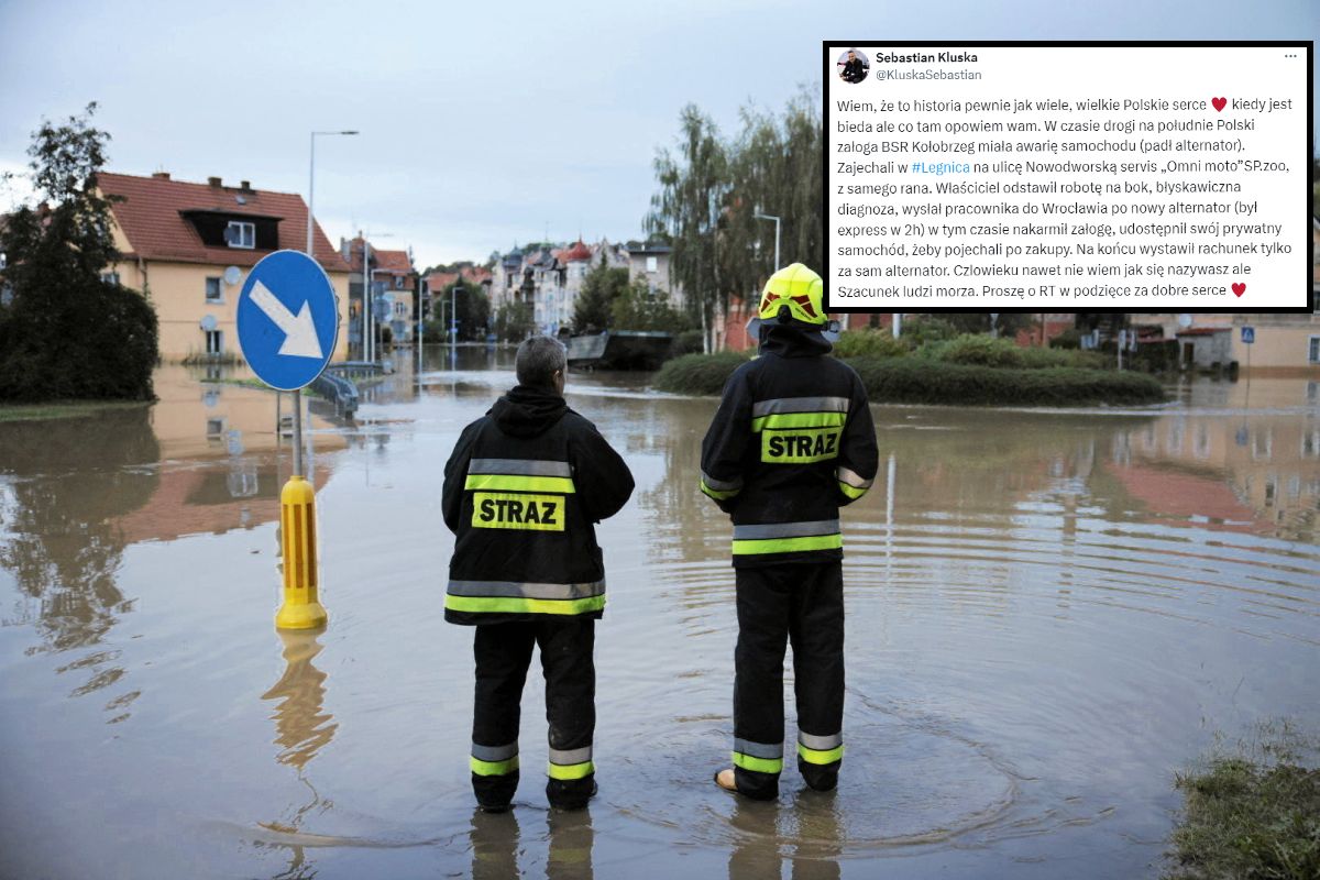 Oto, co spotkało ratowników w Legnicy. Serce rośnie na sam widok