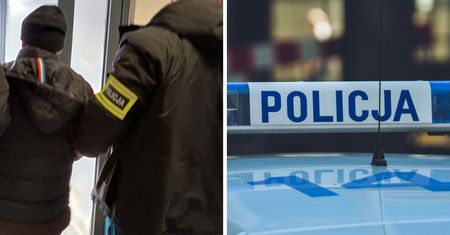 Zatrzymanie za znęcanie się nad psami. 55-latek trafił do więzienia!