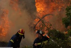 Pożary w Europie. W Grecji wciąż 500 pożarów do ugaszenia. Premier przeprasza