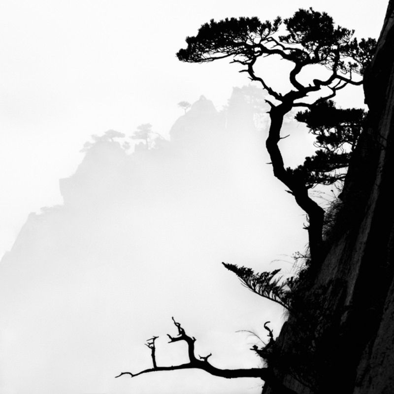Znamy zwycięzców Black & White Spider Awards. Marek Lapis wielokrotnie wyróżniony 28