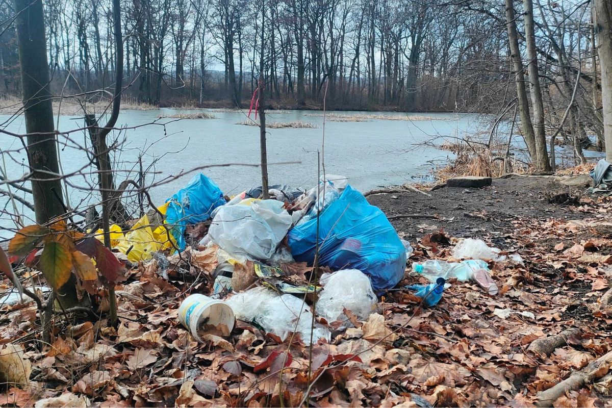 Wynosili pełne wory. Leśnicy się wściekli. Od razu dodali zdjęcia