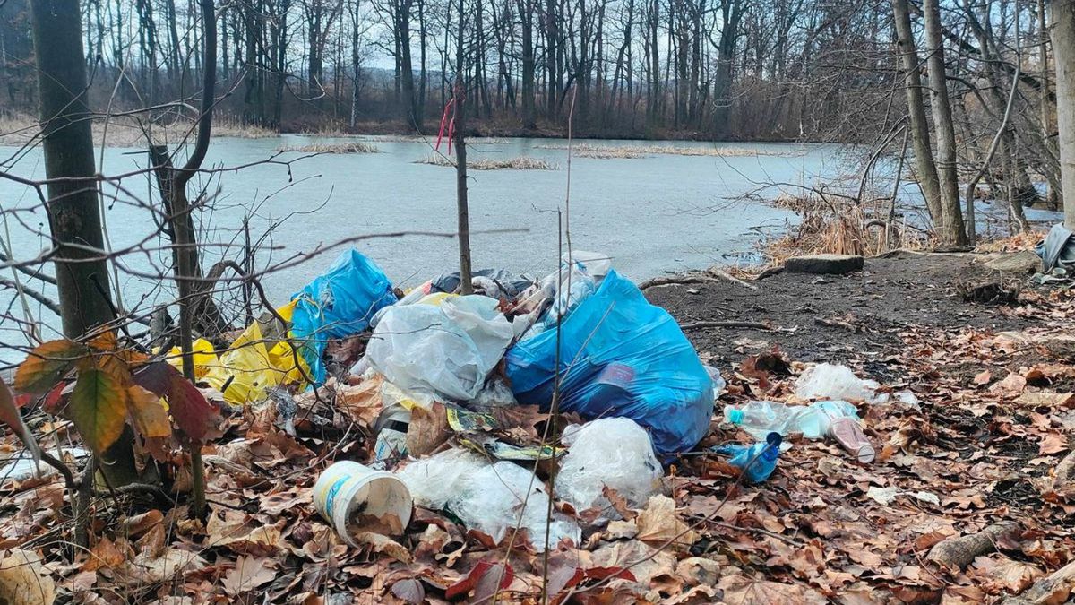Leśnicy grzmią w sieci. "Las to nie wysypisko"
