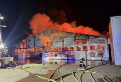 Pożar hali z drobiem. W środku kilkadziesiąt tys. zwierząt