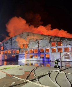 Pożar hali z drobiem. W środku kilkadziesiąt tys. zwierząt