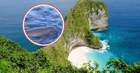 Akcja przy plaży w Indonezji. 21 ciał. Domagają się śledztwa