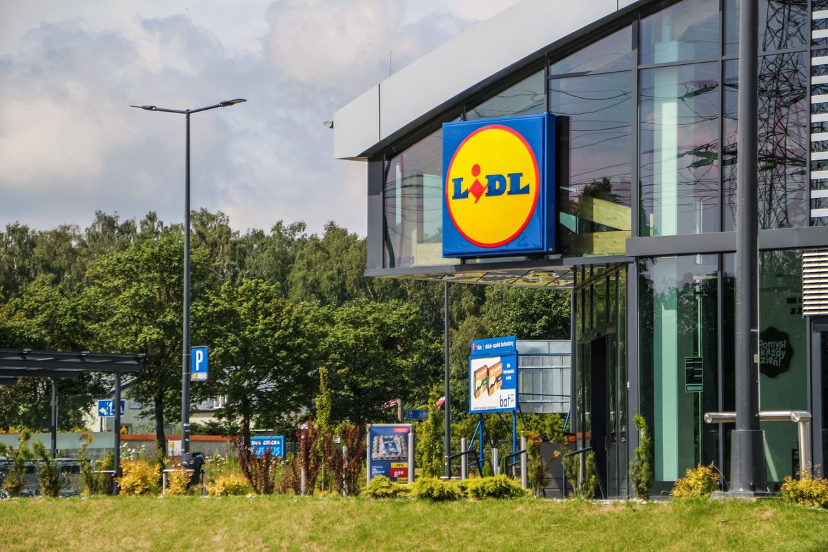 Lidl ponownie rozdaje darmowe piwo