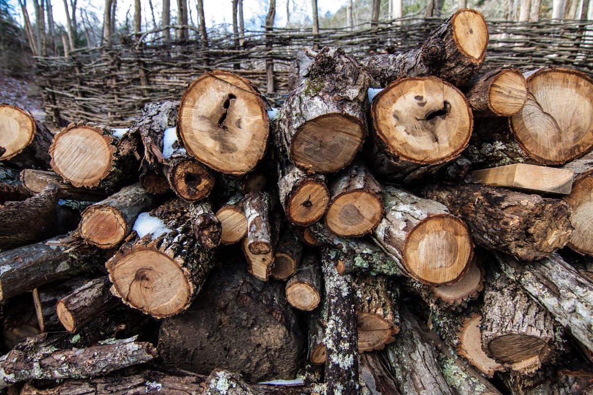Mokre drewno może być źródłem dużych wydatków