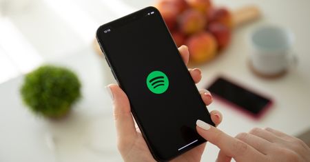 Ciekawa nowość na Spotify. Wyszukiwanie staje się lepsze