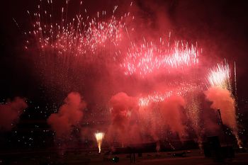 Bochnia: Miasto poparło petycję o zakazie fajerwerków w sylwestra, nowy rok i święta