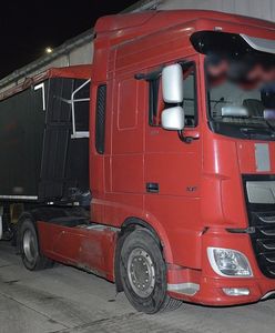 Taka pszenica miała trafić na statek. Odrażające odkrycie