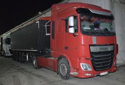 Taka pszenica miała trafić na statek. Odrażające odkrycie