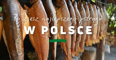 Tak wygląda hodowla pstrągów w Ojcowskim Parku Narodowym. Tradycja ma dziesiątki lat