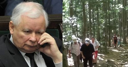 Politycy PiS-u oskarżają się wzajemnie o stan kolana prezesa: "Pogorszyło się po wspinaczce na Koziarz. To był błąd"