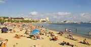 Wakacje 2020. Mięsożerne ryby podgryzają turystów u wybrzeży Francji
