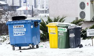 Kiedyś główny nośnik. Teraz zalega w domach. Oto jak pozbyć się płyt