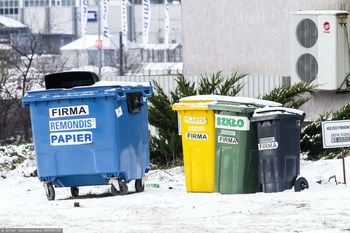 Kiedyś główny nośnik. Teraz zalega w domach. Oto jak pozbyć się płyt