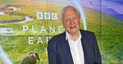 David Attenborough kończy 99 lat. Mówi, z jakich produktów zrezygnował