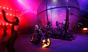 Zginął na oczach tłumu. Imperial Royal Circus w żałobie