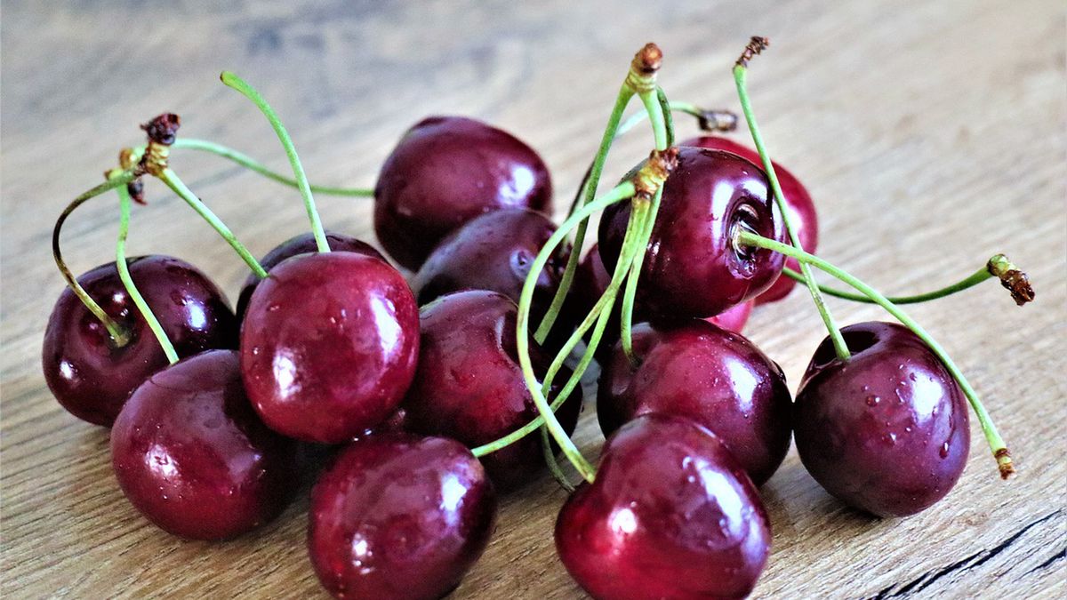 Jak sprawdzić, czy w czereśniach są robaki? Jest na to sposób