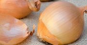Właściwości prozdrowotne łupin z cebuli