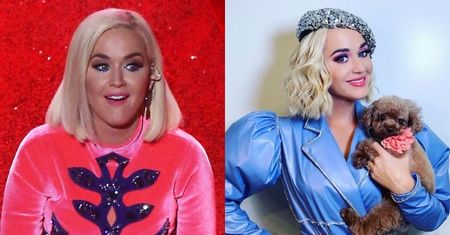 Pies Katy Perry przeszedł na WEGANIZM? "Towarzyszy mi w tej podróży"