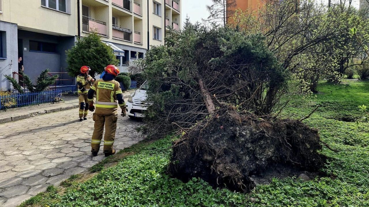 Porwane konary i zniszczone domy po wichurach