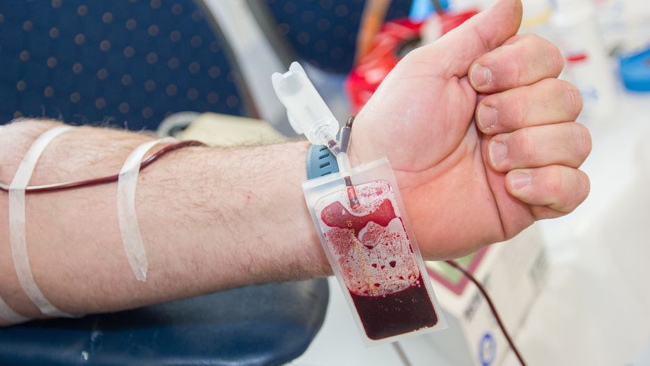 krwiodawca, krew, szpital, blood donation, cierpliwy, medyczne, broni, lek, doktor, zdrowie, bobasy, strzykawka, palce, labolatorium, klinika, stopa, kuracja, osoba, lud