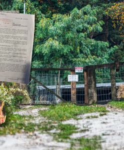 Walka ze strzelnicą trwała od lat. "Szukaliśmy pomocy"