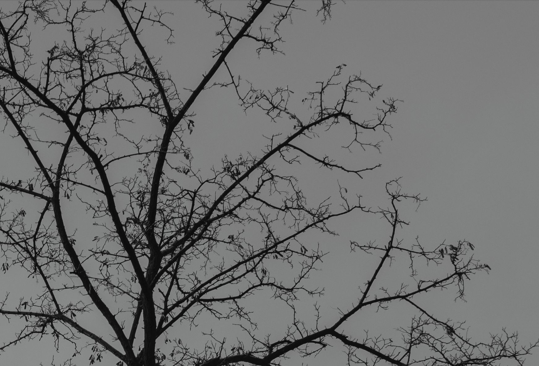 Voigtländer VM 50 mm f/1.1 Nokton - bardzo jasna pięćdziesiątka, która kreuje własną rzeczywistość [test] 47