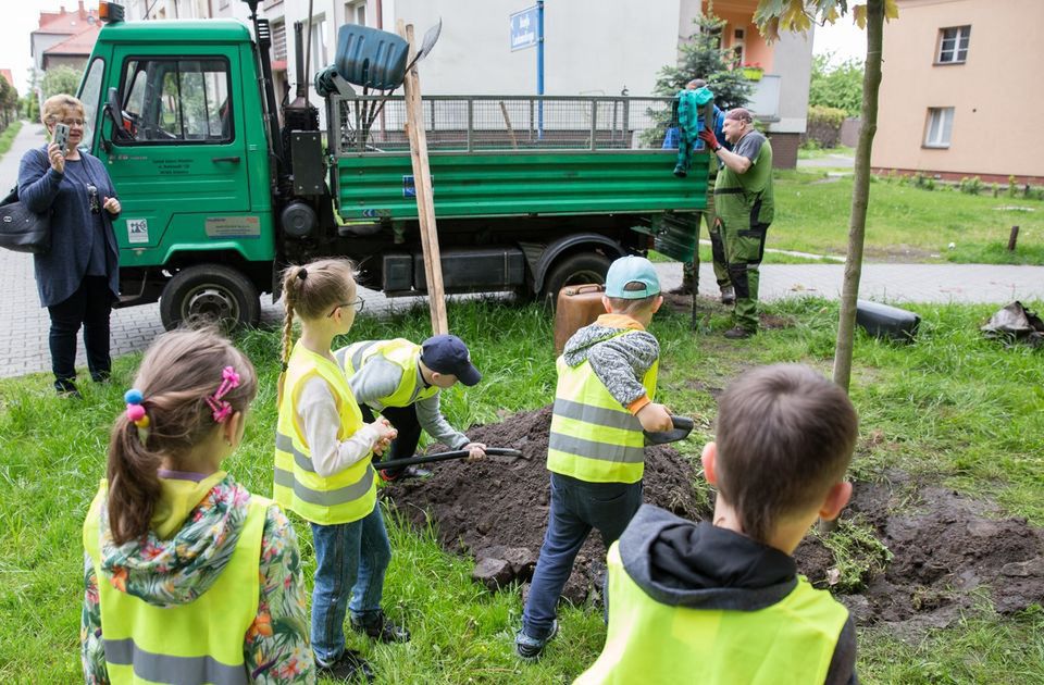 Katowice. Rusza trzecia edycja progrmu "wCOP drzewo".