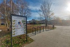 Wrocław. Wiosenne nasadzenia w mieście. Przybędzie kilkaset dziew i kilka tysięcy krzewów