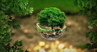 400 mld zł do 2027 r na transformację – PKO BP ma plan