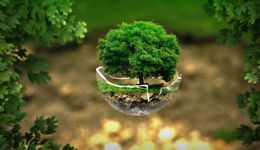 400 mld zł do 2027 r na transformację – PKO BP ma plan