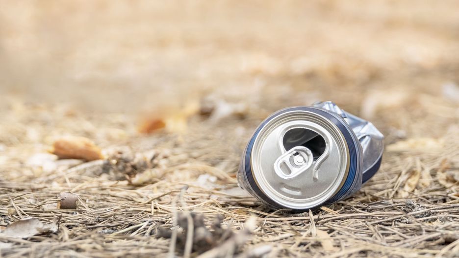 Śmieci są realnym zagrożeniem w lasach 
