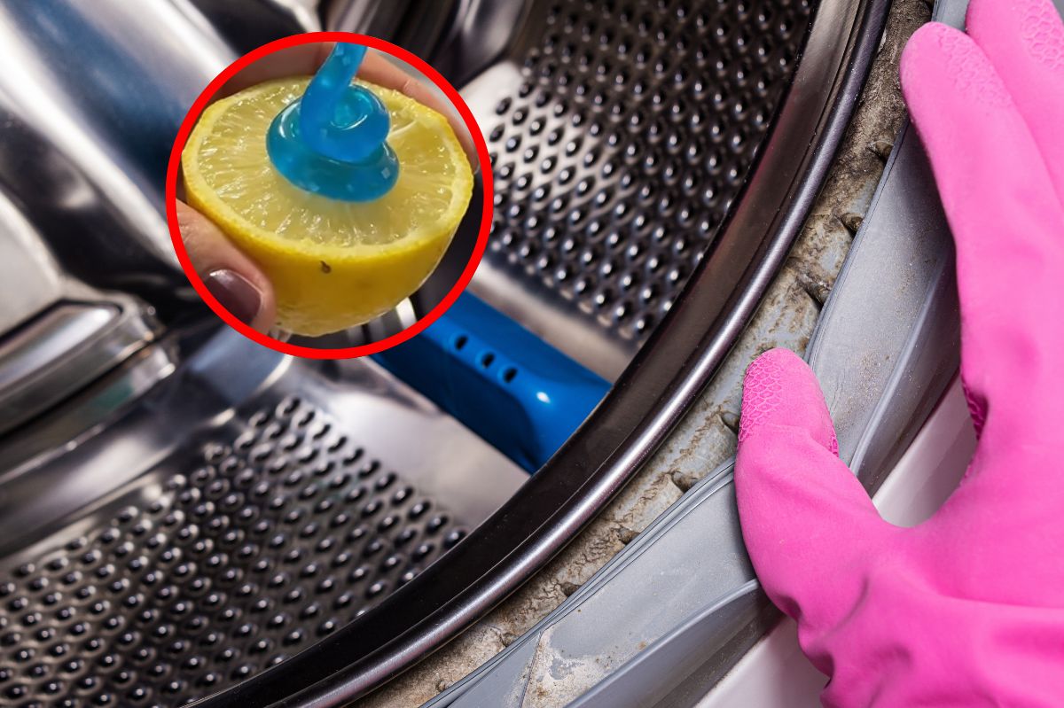 Natural kitchen items keep your washing machine spotless