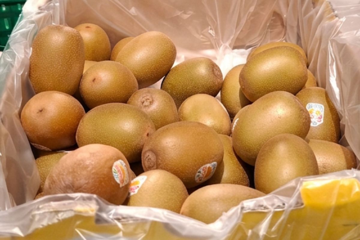 Kupiłam w Kauflandzie za mniej niż 4 zł. Jest słodsze i delikatniejsze niż kiwi zielone