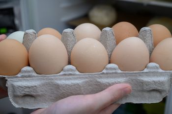 Te jajka są najzdrowsze. Naukowcy nie mają wątpliwości