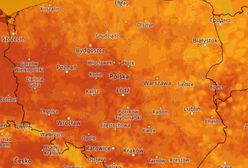 Pogoda. IMGW prognozuje ciepły, miejscami upalny wtorek. Wydano alerty