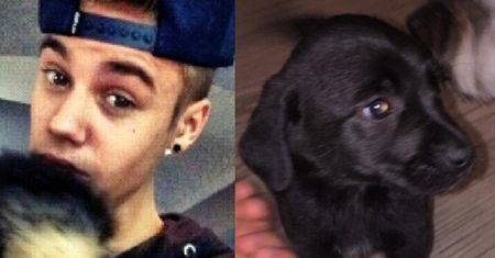 Justin Bieber ma nowego psa (FOTO)