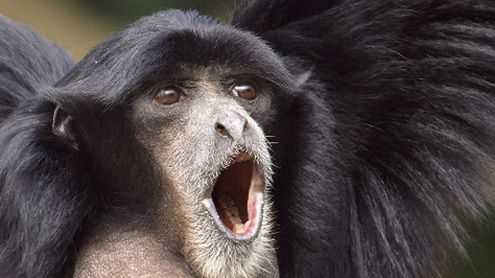 Nasza Klasa znowu małpuje Facebooka. Co na to internauci? 1