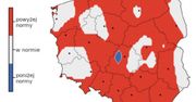 Pogoda. Jesień i zima wyjątkowo ciepłe? IMGW przedstawia symulację temperatur