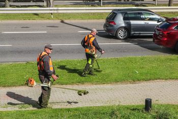 Koszenie trawników zmienia ich skład. Naukowcy wskazali ukryty problem