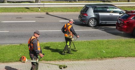 Koszenie trawników zmienia ich skład. Naukowcy wskazali ukryty problem