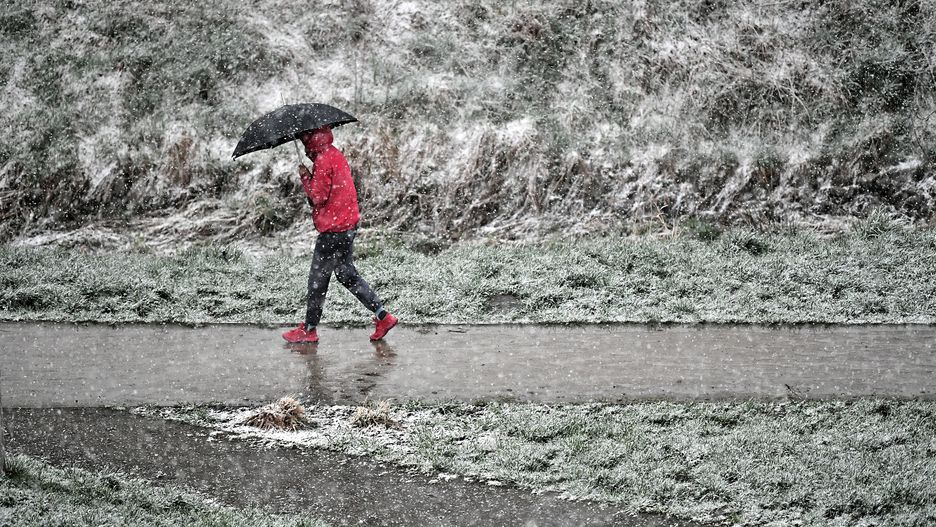 Wrocław, 05.04.2021. Intensywne opady śniegu we Wrocławiu, 5 bm. W najbliższych dniach na Dolnym Śląsku prognozowane są opady śniegu i deszczu, a także silny wiatr. (jm) PAP/Maciej Kulczyński