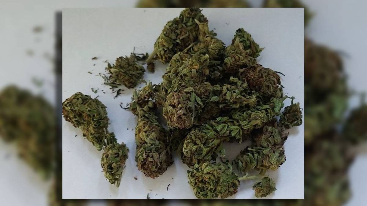 marihuana