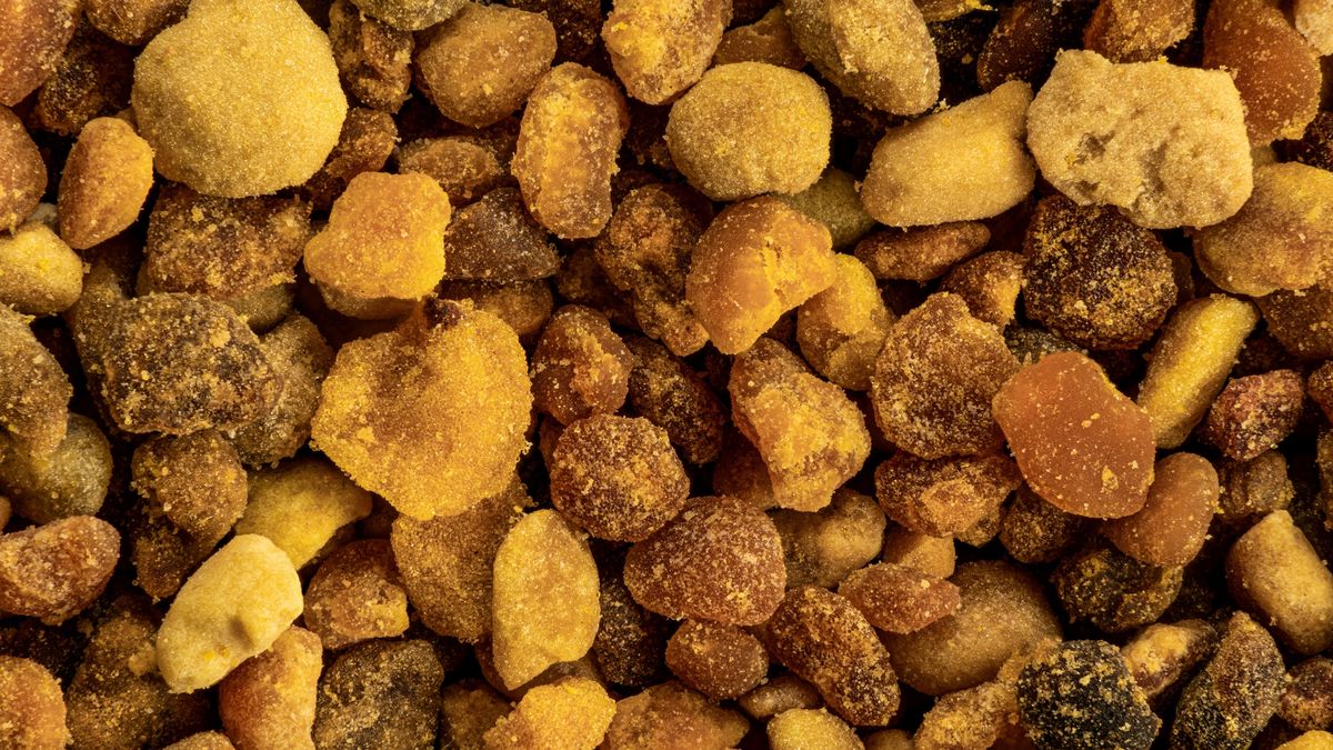 Pierzga ma wiele cennych właściwości