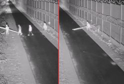 20 prób przekroczenia granicy. Nielegalni imigranci przecinali płot