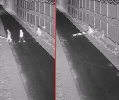 20 prób przekroczenia granicy. Nielegalni imigranci przecinali płot