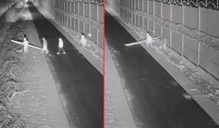 20 prób przekroczenia granicy. Nielegalni imigranci przecinali płot