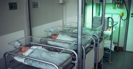 Noworodki czekają na nowy dom. "Sprawa jest bardzo pilna!"